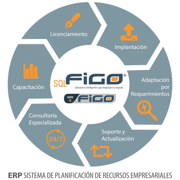 ERP-web-figo